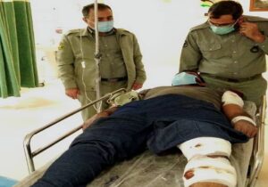 دو محیط بان بوشهری در تیراندازی شکارچیان غیرمجاز مجروح شدند