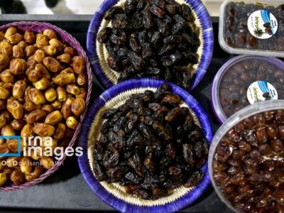 بوشهر میزبان نمایشگاه ملی خرما