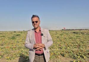 خسارت کشاورزان بوشهر در هیات دولت بررسی می‌شود