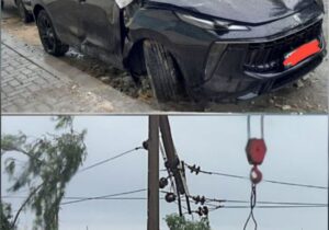 سقوط درختان در بیش از ۱۰۰ نقطه بوشهر به شبکه برق خسارت زد+عکس