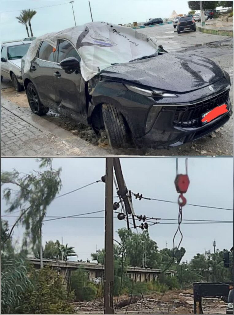 سقوط درختان در بیش از ۱۰۰ نقطه بوشهر به شبکه برق خسارت زد+عکس