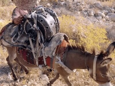 پهپاد آمریکایی در کوه‌های عسلویه سوار الاغ شد + عکس